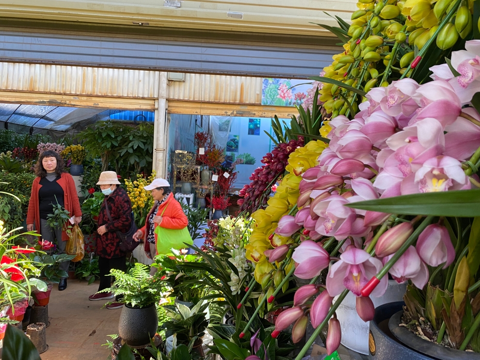 花鳥市場(chǎng)里,各種花爭(zhēng)奇斗艷,很是漂亮。 花鳥市場(chǎng)里,各種花爭(zhēng)奇斗艷,很是漂亮。