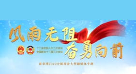 2020年全國(guó)兩會(huì)