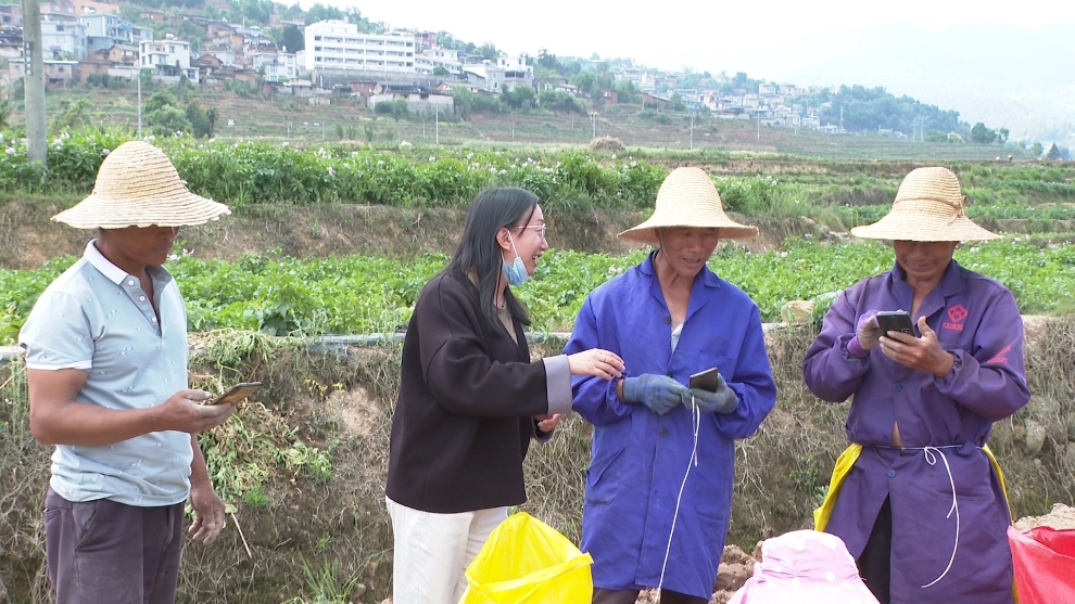 古城街道:反詐宣傳進(jìn)田間 守住群眾“錢(qián)袋子”