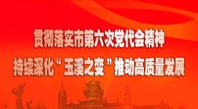 貫徹省委省政府玉溪現(xiàn)場辦公會精神