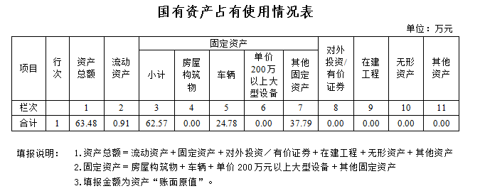 國有資產(chǎn)占有使用情況表