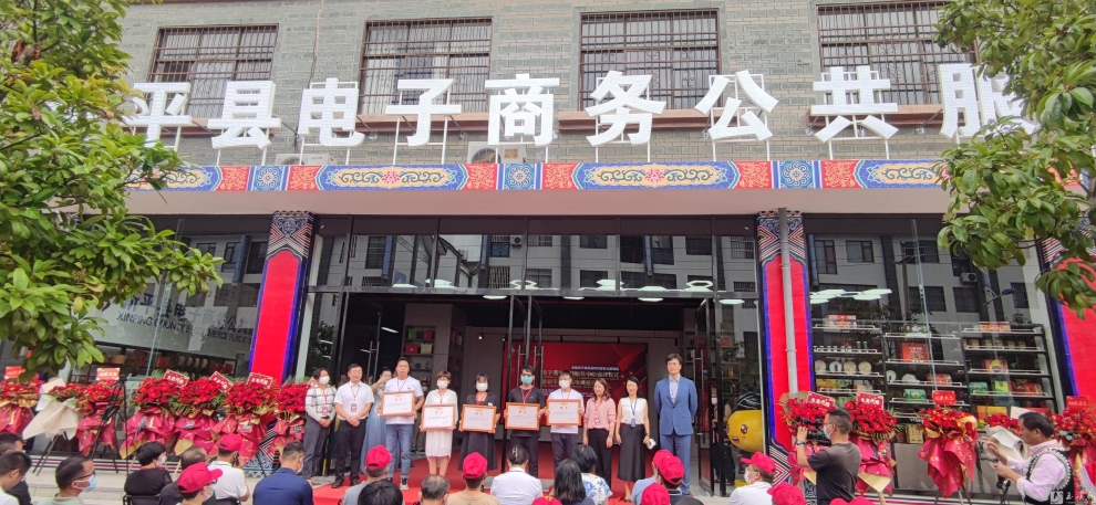 新平電子商務公共服務中心成立儀式