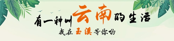 有一種叫云南的生活頁(yè)面頂圖