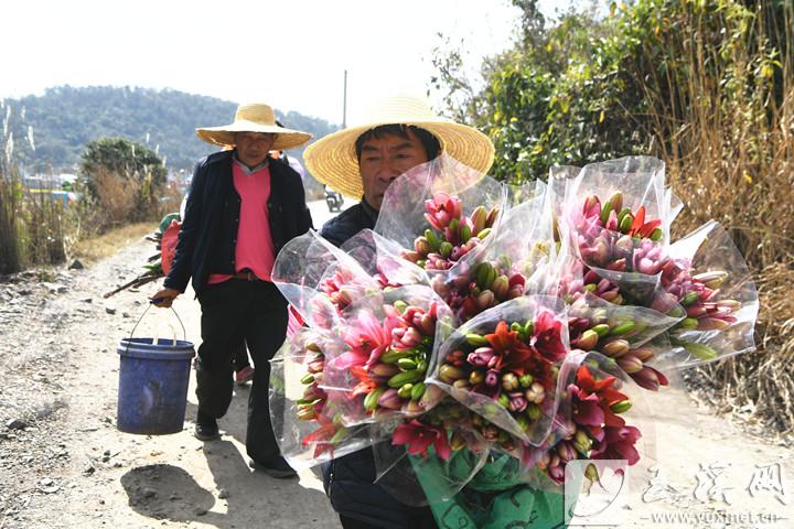 塔甸鎮(zhèn)小草海村，村民準(zhǔn)備到廣場出售自家種的鮮花。