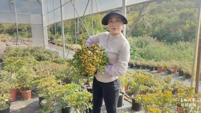 賈鵝在基地管護(hù)多肉植物。.jpg