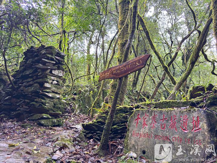 千家寨古城遺址。