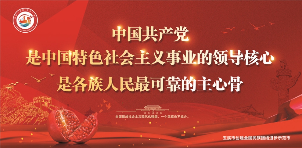 玉溪市民族團結(jié)進步宣傳海報22