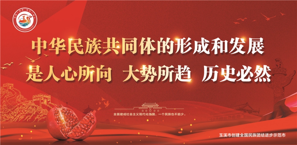玉溪市民族團結(jié)進步宣傳海報15