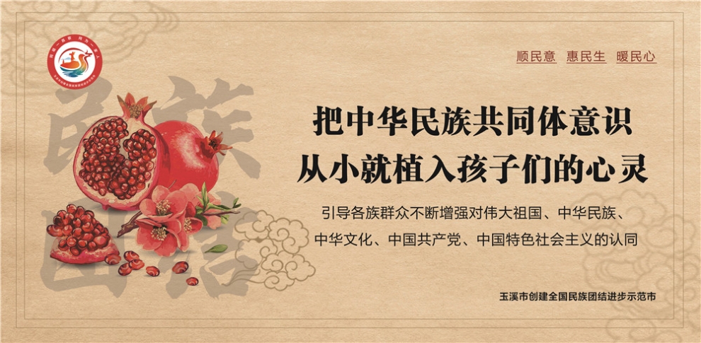 玉溪市民族團結進步宣傳海報12