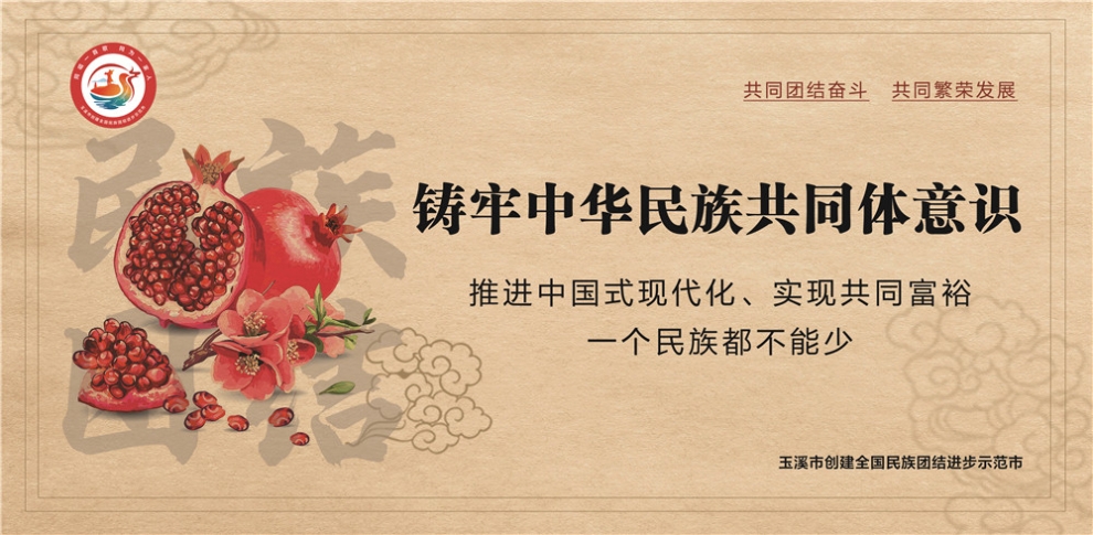 玉溪市民族團結進步宣傳海報7