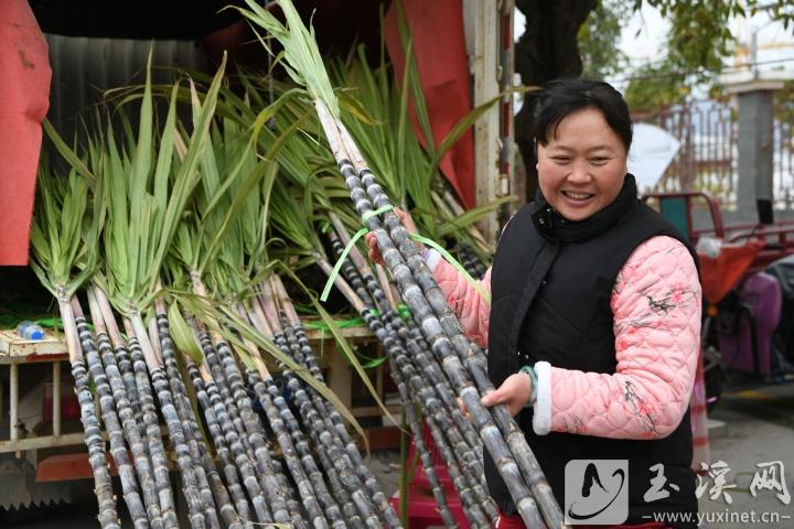 江川區(qū)九溪鎮(zhèn)，選購甘蔗的市民（攝于2025年1月28日，除夕）。