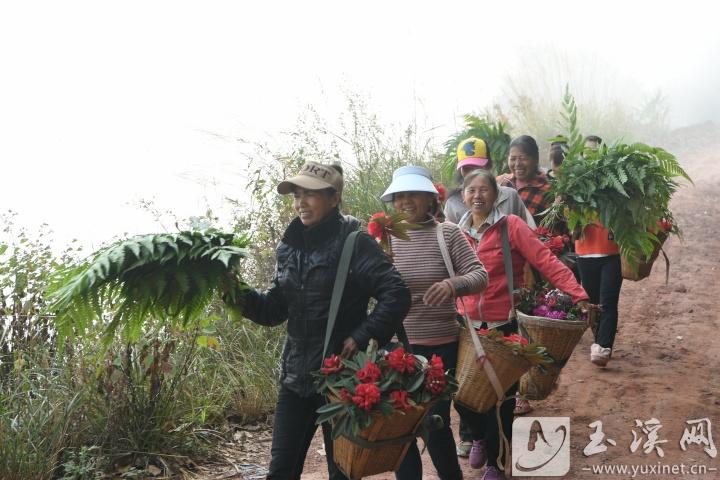 采花歸來的村民。