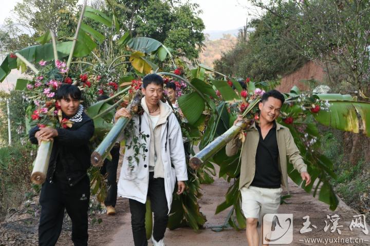 宴客結(jié)束，年輕人把芭蕉樹及鮮花送到村后一棵古老的大樹下。