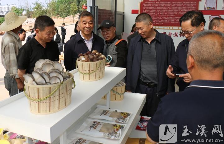 參觀企業(yè)產(chǎn)品展示區(qū)。