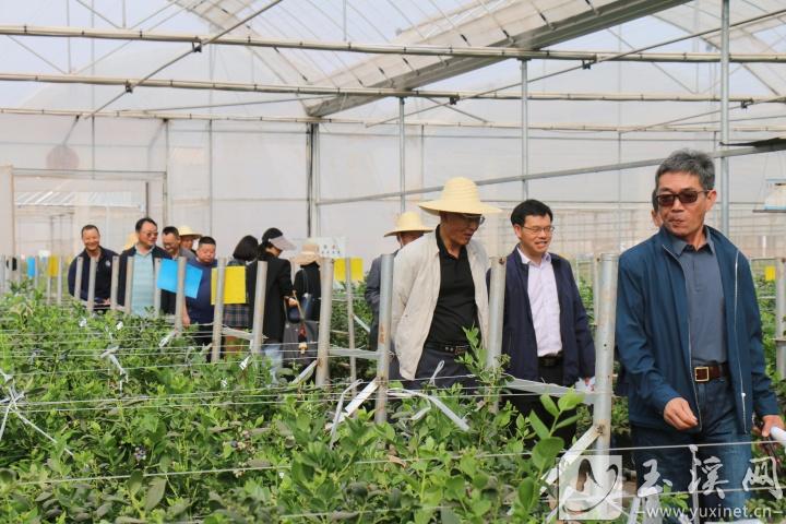 銀齡教師走基層。