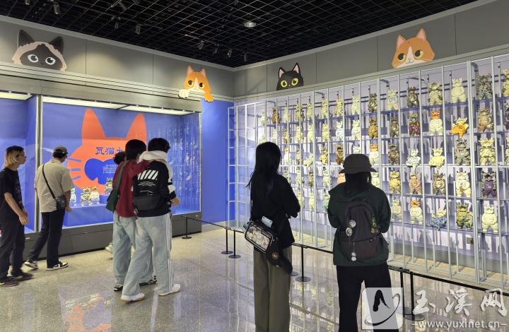 瓦貓作品吸引市民和游客的目光。