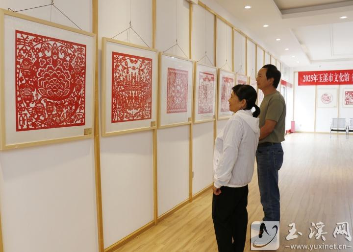 展覽吸引市民觀看。