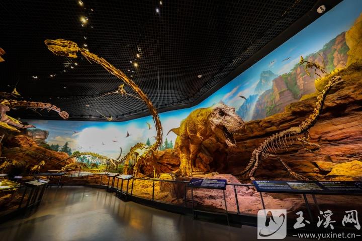 澄江化石地世界自然遺產(chǎn)博物館借助科技，讓古生物重?zé)ㄐ律?記者 沈陽 攝