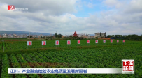 答好五問促增收｜江川：產(chǎn)業(yè)融合繪就農(nóng)業(yè)高質(zhì)量發(fā)展新畫卷